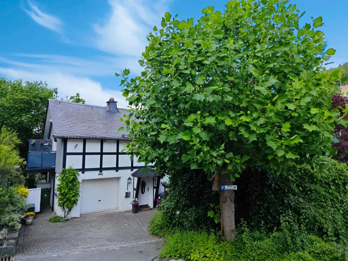 Ferienwohnung Platzhirsch Fuer 2 - 4 Pers. Винтерберг Екстериор снимка